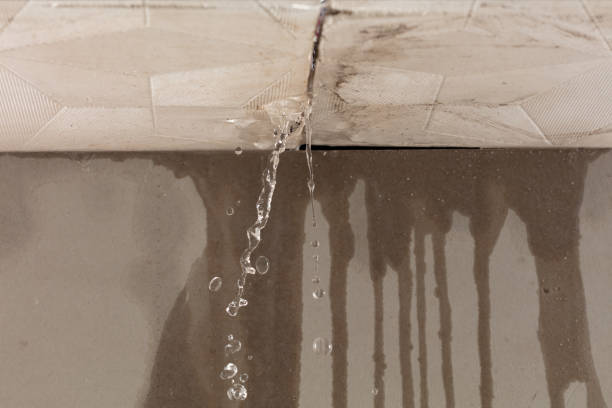 Professional Water Damage Repair technician working in Franklin, VA